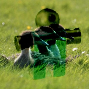 Beispiel für den Ebenenmodus Subtraktion